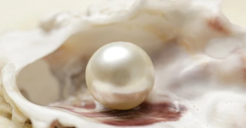 Pearl of Great Price
